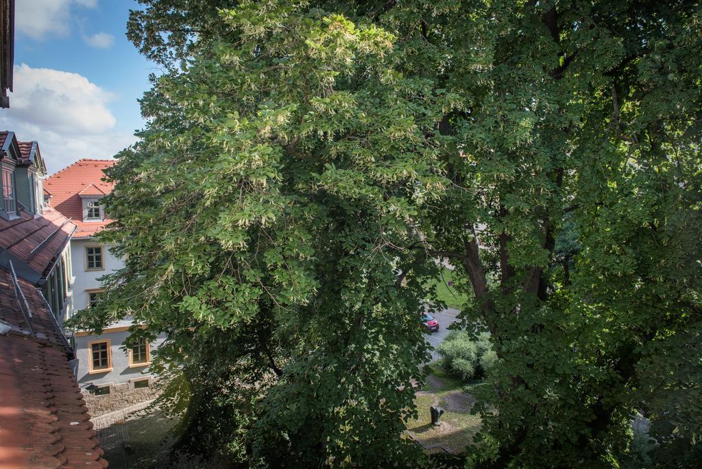 "Goethezimmer" Ferienwohnung Und Zimmer Am Burgplatz Веймар Экстерьер фото